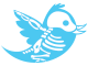twitter-skeleton-copyright-aasarts-allison-stevens-designer